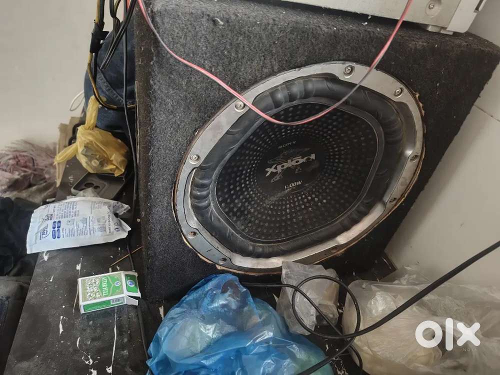 Woofer and amplifier
