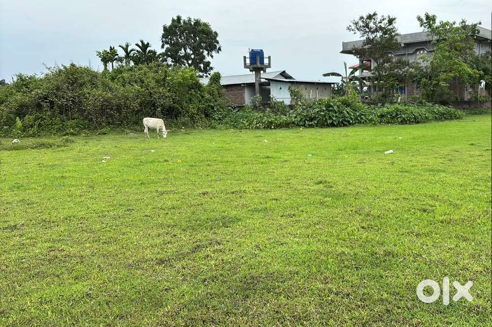 2 katha myadi land for sale at Dergaon Town