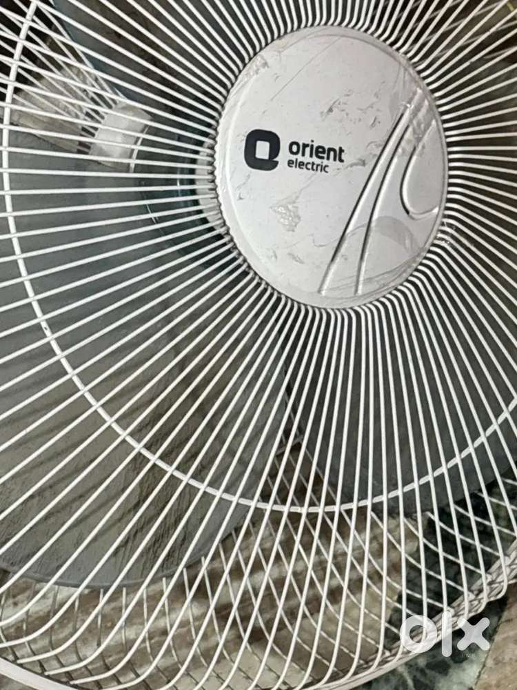 Orient wall fan