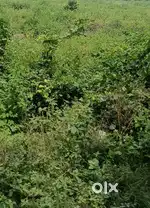 1107sqft Govind Narayan gate chunabhatti