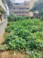 Site for sale