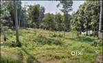 32 cent plot for sale