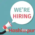Hoshiarpur remote career