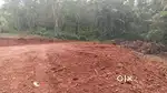32 Cent Residential land for sale near Kannur Airport Mattannur