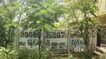 Comercial&resd 60 feet road plot in ngos amma hospital road