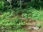 Rubber plot