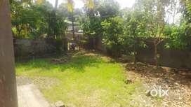 8  and 3 cent of land