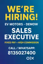 Sales Executive