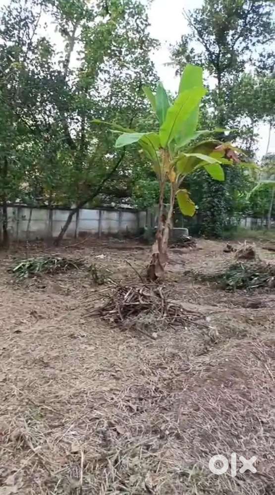 കൊല്ലം കൊട്ടിയം തഴുത്തലയിൽ 20 സെന്റ് വില്പനക്ക്