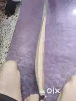 SS Cricket bat
