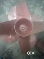 Cooler fan