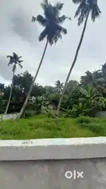 8 cent plot for sale near one km from mukhathala