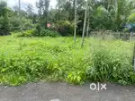 Plot ready for sale in Kotuvally