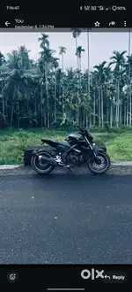 Mt 15 2019