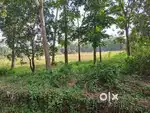 30 സെന്റ് വില്പനക്ക്