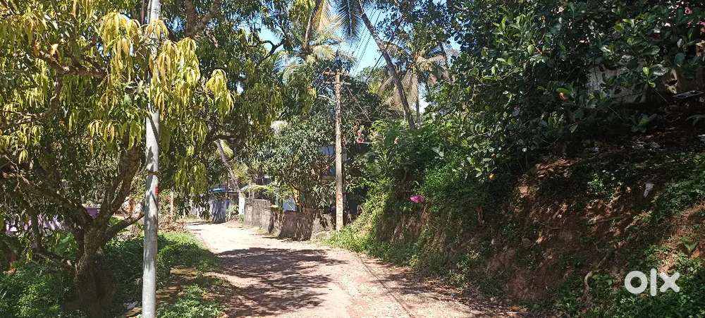 21 cent plot _ 7 lakhs percent