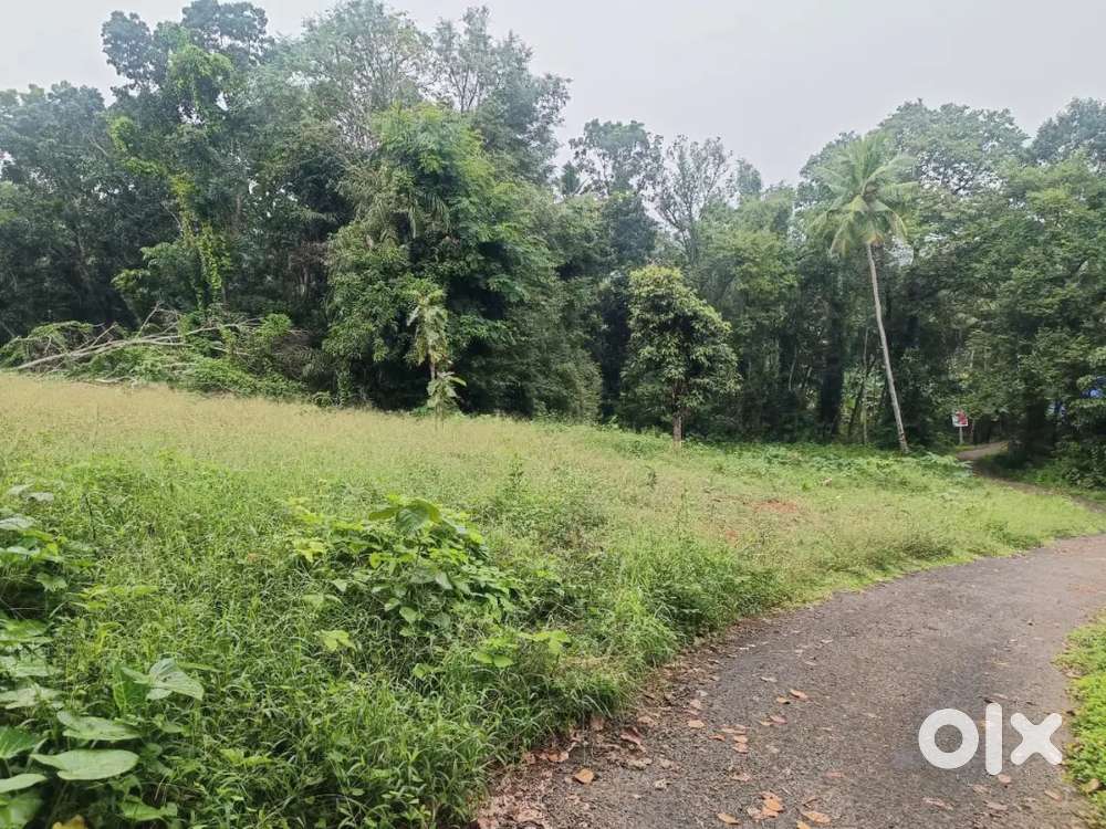 Ooruttambalam Eruthavoor temple 27 Cent land 2 lakhs Cent tar road