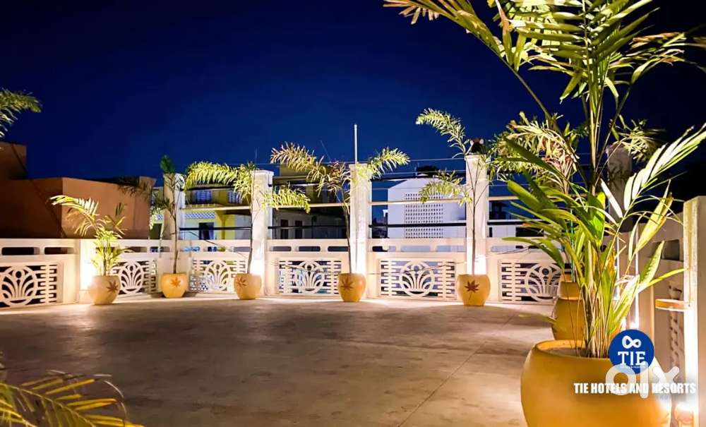 Modelling Photoshoot only ( girls and women)