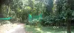 4.5 Acres of Land Anachal, Idukki