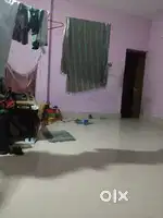 Rent for bachelor