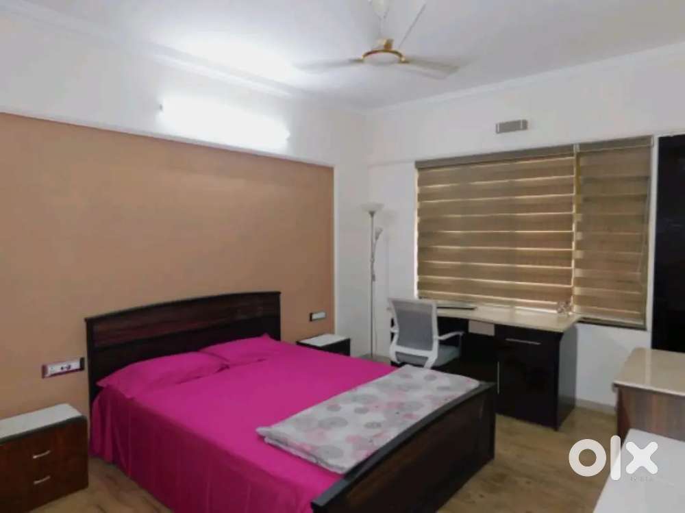 Fully furnished luxury apartment available for rent