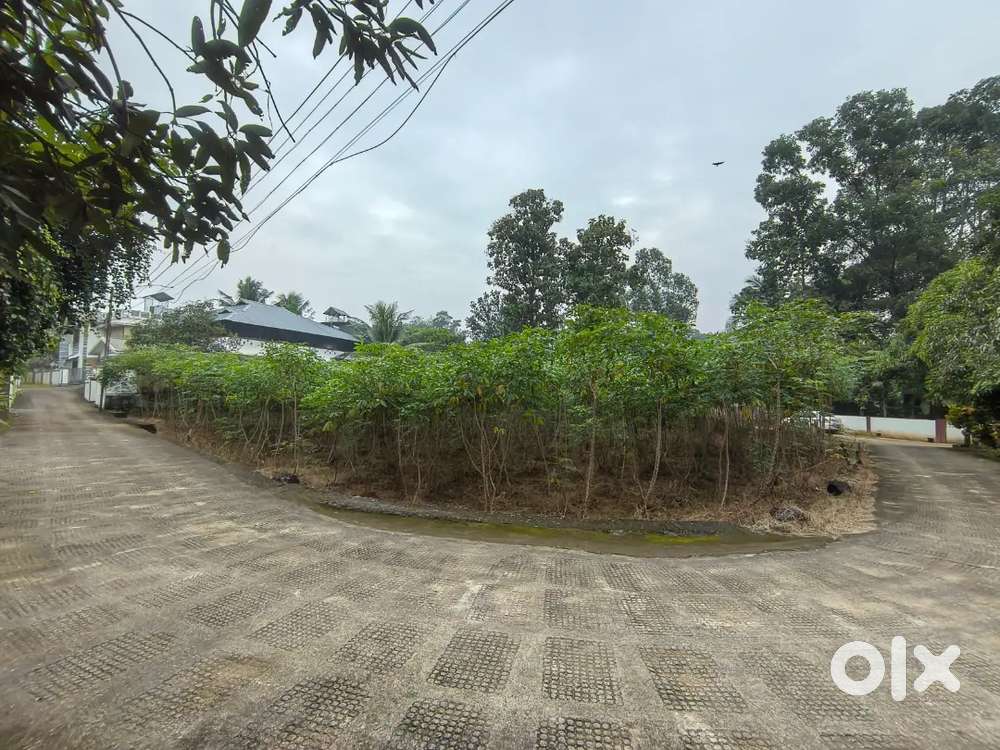 House plot saleപാലാ തൊടുപുഴ റോഡ് കൊല്ലപ്പള്ളി ടൗണിൽ സ്ഥലം വിൽപ്പനക്ക്.