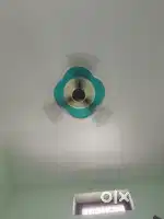 Room patner