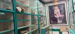 Medical farniture
