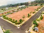 Golden Opportunity – Premium DTCP Approved Plots for Sale