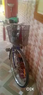 Avonpilot Bicycle