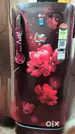 Premium LG 185L Refrigerator – Well Maintained, Ready to Use