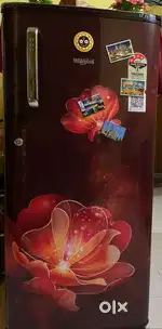 Fridge which is in very good condition.