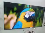 Amazing offer 32 SMART - ANDROID LED TV RS - 6500/- BOX PIECE NEW LED