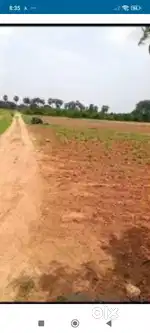 Agriculture Land sale in chouttuppal