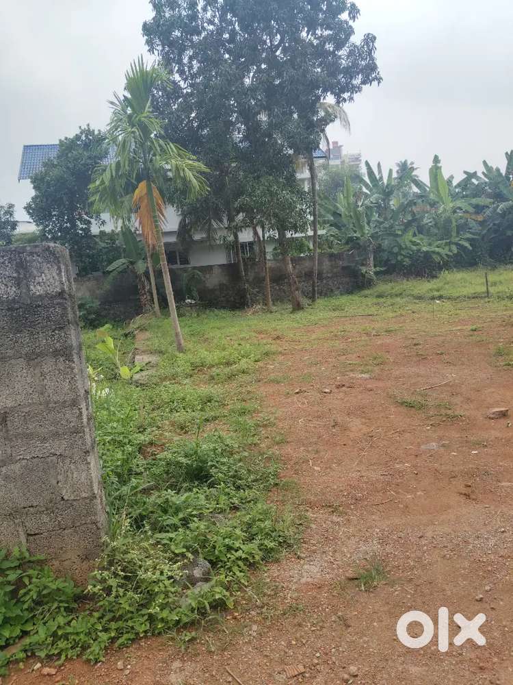 4, cent Polt for sale near Vazhakala Kakkanad