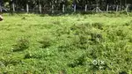 Near chenniyur , near Pollachi Main Road , Near by puravi palaiyam