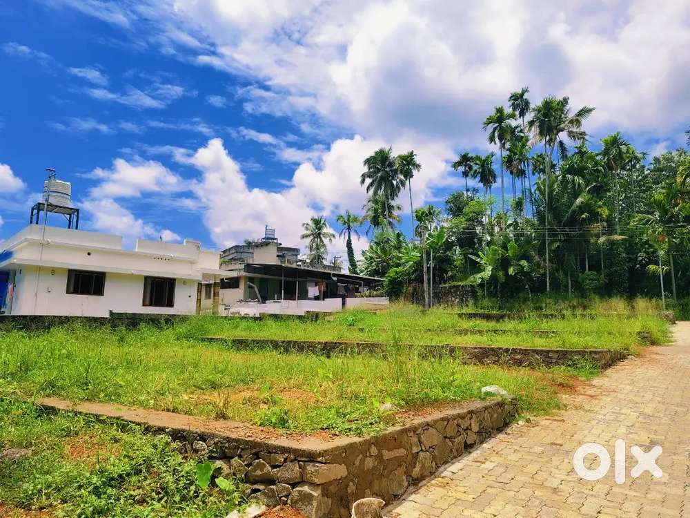 3.50,4 cnt plot Kakkanad Thevakkal 8.30 pr cnt Negotiable