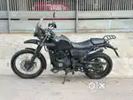 Himalayan for sale