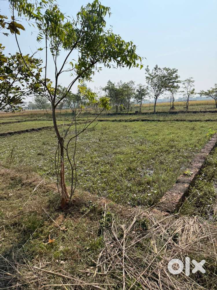 2300 sq ft area,North facing -All roads are 30'wide