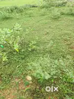Plot for sale on kalwar road jobner