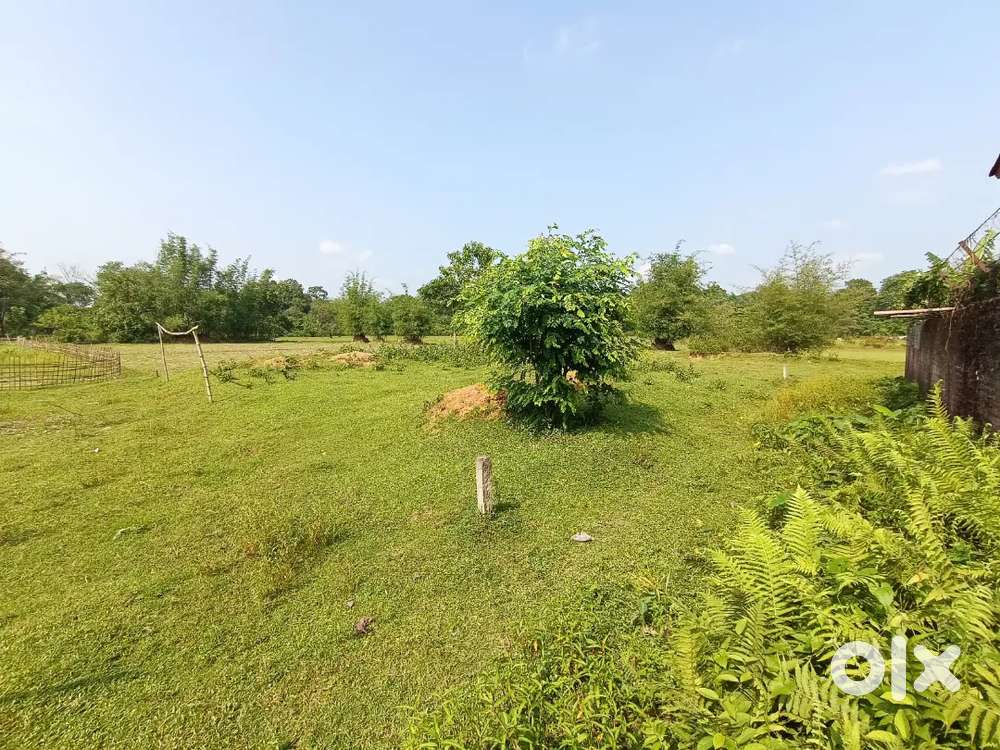 Land for sale Near Moran-Dibrugarh Highway