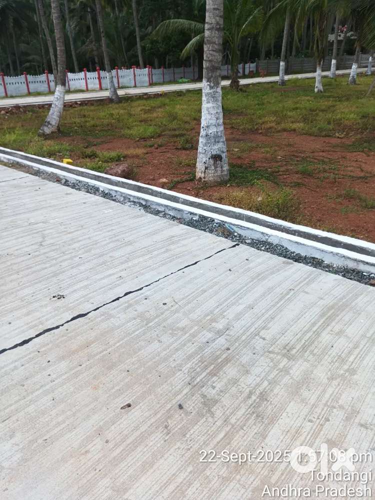 Kuda layouts available