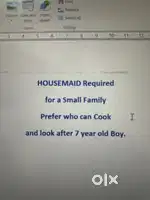 House Maid for Small Family