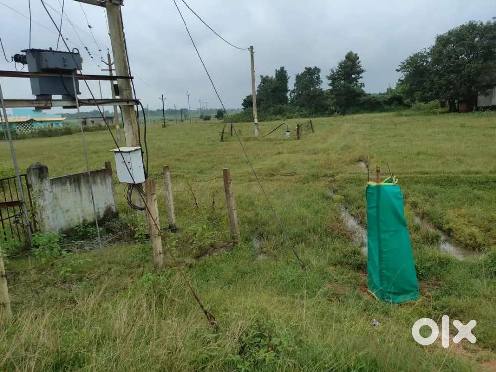 Plot for sale on main road near B. Karanjia, Champua, Hata field