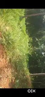 11 cent plot for sale Near Sivagiri mutt