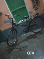 Gang cycle 26t single speed