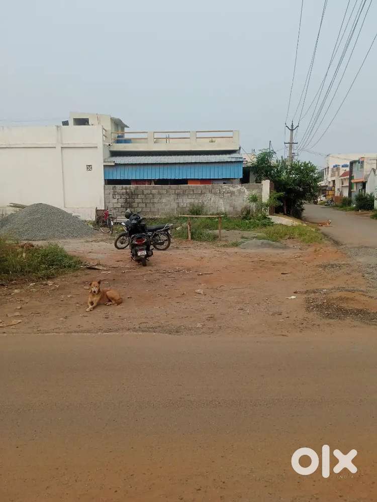 திருப்பூர் K. செட்டிபாளையம் பூங்கா நகரில் சைட் விற்பனைக்கு உள்ளது.