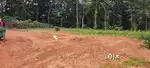 Pallickathod 10 cent house plot.1.10 .lakh.