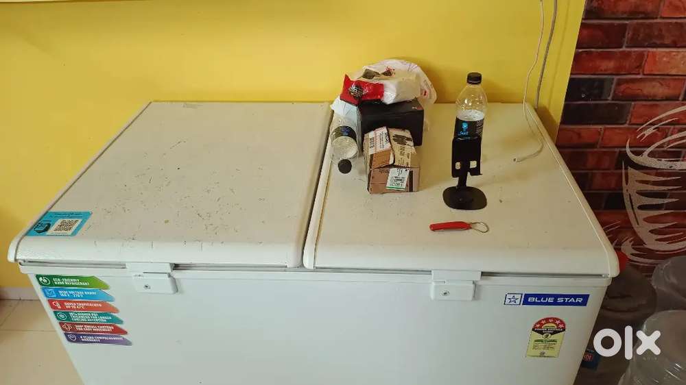 Blue Star Deep Freezer