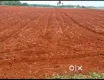 25 cent agri land 10 lakh total price